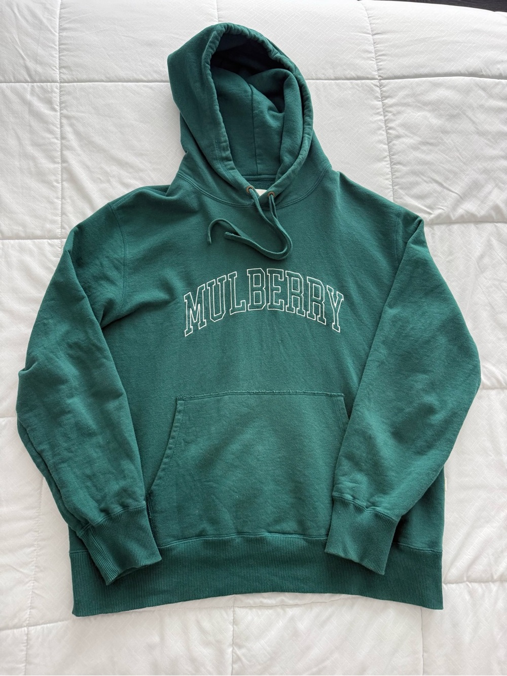 Aime Leon Dore Mulberry Green Pullover Hoodie with Arch Logo